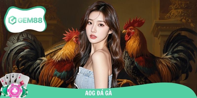 AOG Đá Gà - Sân Chơi Đẳng Cấp Hot Nhất Trên Gem88