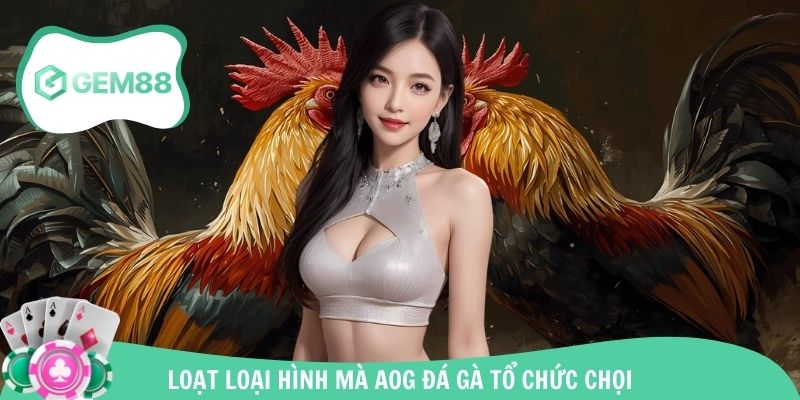 Loại hình được hội viên săn đón nhất hiện nay