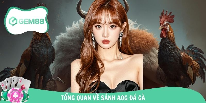 Tổng quan những nét chính về sảnh AOG đá gà