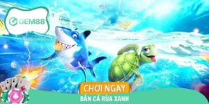 Bắn Cá Rùa Xanh - Tham Gia Game Hấp Dẫn Nhận Thưởng Lớn
