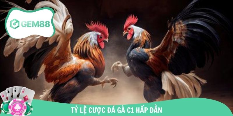 Trải nghiệm tham gia giải trí gà chọi với tỷ lệ cược vô cùng đặc sắc