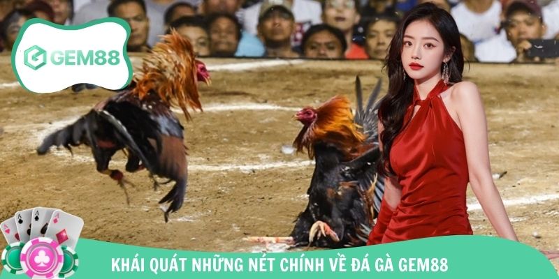 Tổng quan những điểm chính cần biết về sảnh