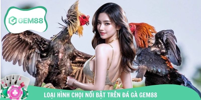 Tổng hợp loại hình hot nhất được website tổ chức