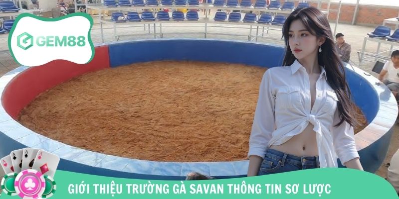 Giới thiệu trường gà Savan - Tụ điểm nổi tiếng hàng đầu Đông Nam Á