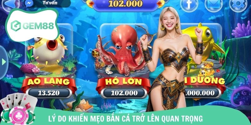 Lý do khiến mẹo bắn cá trở lên quan trọng