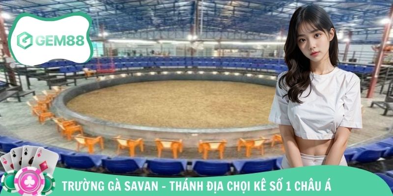 Trường Gà Savan - Thánh Địa Chọi Kê Số 1 Châu Á